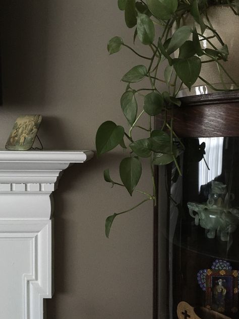 Living room decor.   (Behr Studio Taupe PPU5-7) Behr Paint Grizzly, Rustic Taupe Behr Paint, Behr Paint Taupe Colors, Behr Studio Taupe, Sculpted Clay Behr, Behr Brown Colors, Green Taupe Living Room, Dark Behr Paint Colors, Wild Truffle Behr Paint