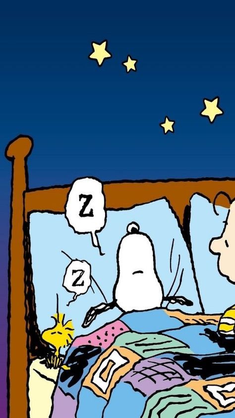 Sleeping Wallpaper, Snoopy Sleep, Snoopy Sleeping, Charly Brown, Goodnight Snoopy, Woodstock Snoopy, Snoopy Funny, Snoopy Images, Baby Club