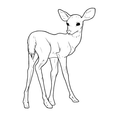 my favorite little line art! by snag-and-forbs Baby Deer Drawing, Deer Line Drawing, Fawn Drawing, Deer Line Art, Deer Drawing, Animal Drawing, Small Canvas Art, Whitetail Deer, Summer Projects