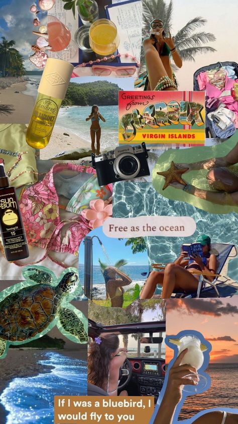 St. Croix moodboard 🌊🍊🐙🐚🪸🥥🌴☀️🌺🐡 #beach #ocean #St.Croix #coconutgirl #vacation #tropicalisland #islandvibes #aesthetic Virgin Island Aesthetic, Island Life Aesthetic Wallpaper, Virgin Islands Aesthetic, St Croix Virgin Islands Things To Do, St Thomas Virgin Islands Aesthetic, St Croix Virgin Islands Pictures, St Croix, St Croix Virgin Islands, St. Croix