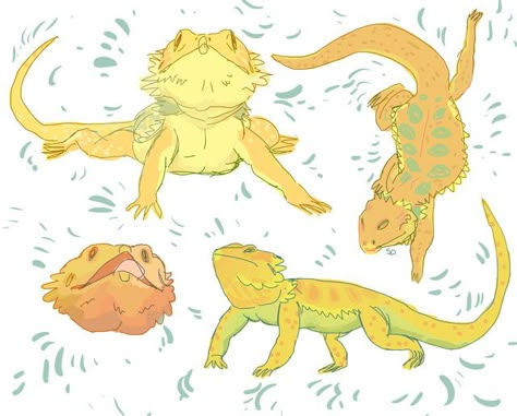 ✃ ┈ 𝟬𝟮𝟰𝟮𝗽𝗺 ´- Cute Lizard, Animal Cage, Animal Reference, Sketching Ideas, Dragon Sketch, Cute Reptiles, Animal Study, Art Manga, Leopard Gecko