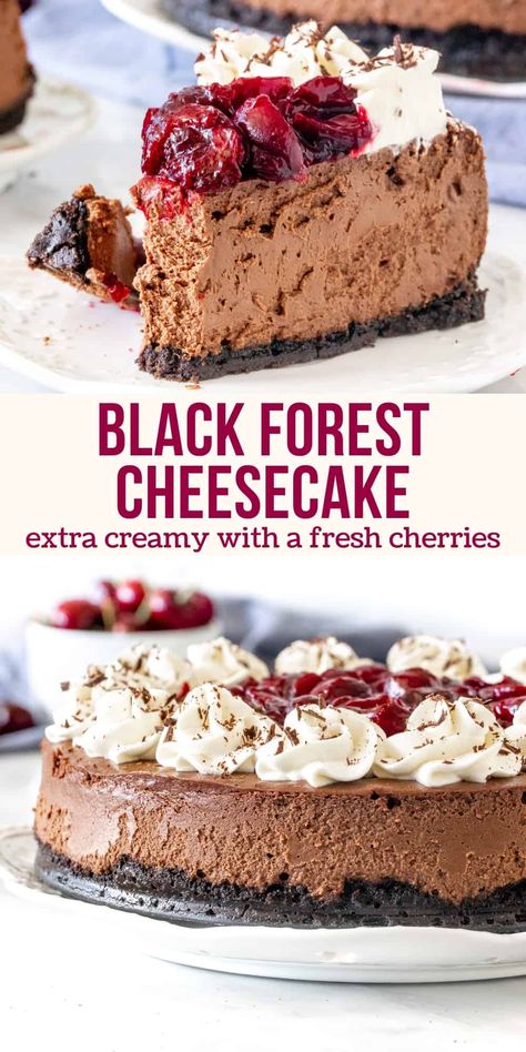 Chocolate Cherry Cheesecake Recipe, Special Cheesecake, Chocolate Cherry Cheesecake, Black Forest Cheesecake, Chocolate Cheesecake Recipe, Creamy Chocolate Cheesecake, Cherry Topping, Chocolate Cheesecake Recipes, Homemade Cheesecake