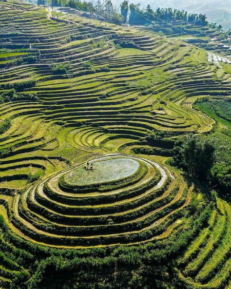 The Giant Rice Terraces From Sa Pa In Vietnam Magical Scenery, Louvre Pyramid, Milan Cathedral, Angkor Wat Temple, Zhangjiajie, Visit Vietnam, Sa Pa, Rice Terraces, St Nicolas