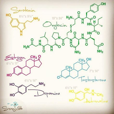 #aminoacids #aminos #mentalhealth Hormone Tattoo, Love Hormone, Chemistry Tattoo, Science Tattoos, Chemistry Art, Human Spine, Science Nerd, Hee Hee, E Mc2