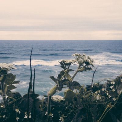 Fotografi Vintage, Ocean Vibes, Pretty Photos, Nature Aesthetic, Blue Aesthetic, Aesthetic Photo, Ocean View, Pretty Pictures, Film Photography