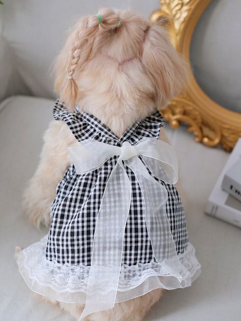 Carbisdale Castle, Summer Dress Sewing Pattern, Summer Dress Sewing, Doggie Clothes, Dog Clothes Patterns Sewing, Dog Dress Pattern, Dog Summer, Dog Outfits, Dog Clothes Diy