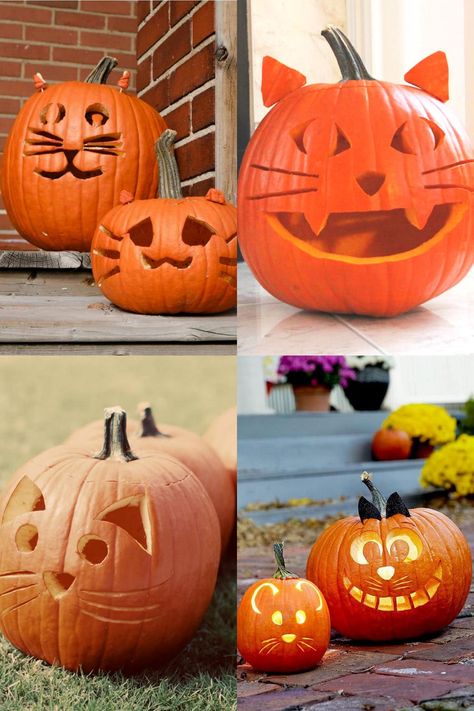 Unique Jack O Lantern Ideas Easy, Easy Kitty Pumpkin Carving Ideas, Halloween Pumpkin Designs Easy, Jack O Lantern Easy Carving, Pumpkin Carving Animals Easy, Easy Animal Pumpkin Carving Ideas, Big And Small Pumpkin Carving Ideas, Kids Carving Pumpkin Ideas, Simple Cat Pumpkin Carving Ideas