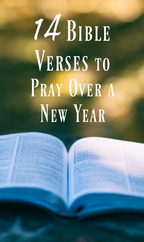 14 Verses to Pray at the beginning of a new year and to continue to pray during the course of the year. Verses For The New Year, New Year Verses From Bible, New Year Bible Verse Quote, New Year Scripture Quotes, Verse Of The Year, Prayer For The New Year, New Years Bible Verse, New Year Prayer, New Year Prayer Quote