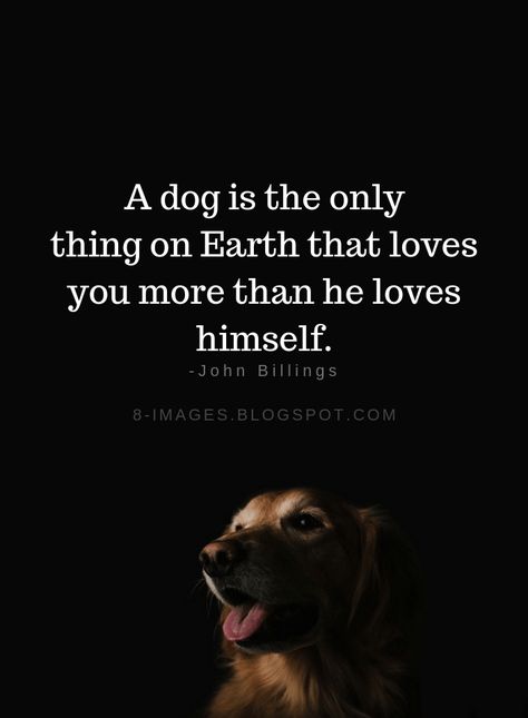 Dog Quotes A dog is the only thing on Earth that loves you more than he loves himself. -John Billings A Dog Is The Only Thing On Earth Quote, Pets Love Quotes, Dog Thoughts Quotes, Animal Lover Quotes, Colorful Hairstyles, Dog Lover Quotes, Dog Quotes Love, Dog Stories, Dog Info