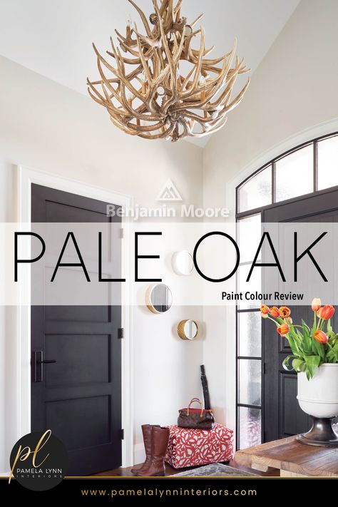 Best Trim Color With Pale Oak, Neutral Foyer Paint Color, Pale Oak Bathroom Master Bath, Pale Oak And White Dove Benjamin Moore, Pale Oak Walls Chantilly Lace Trim, Pale Oak Walls With Black Doors, Pale Oak Walls Living Room, Pale Oak Behr Paint, Pale Oak With Chantilly Lace Trim