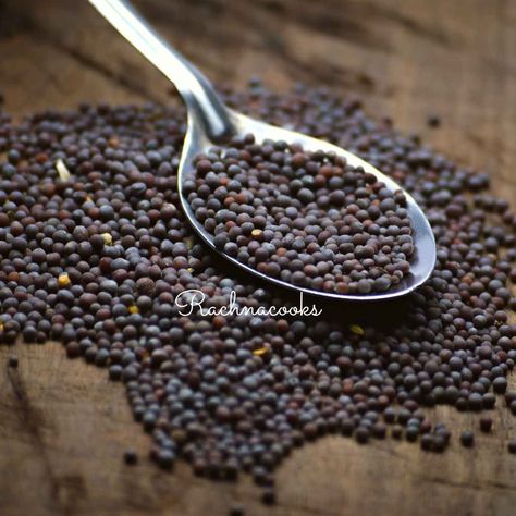 7 Substitutes for Black Mustard Seeds - Rachna cooks Mustard Plant, Black Mustard Seeds, Yellow Mustard Seeds, Horseradish Sauce, Brown Mustard, Cocktail Sauce, Mustard Oil, Mustard Seeds, Sour Taste