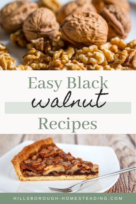 6 Easy Black Walnut Recipes Black Walnut Pie Recipe, Black Walnut Recipes, Savory Dessert Recipes, Walnut Recipes Dessert, Black Walnut Cookies, Black Walnuts Recipes, Easy Rabbit Recipe, Walnut Dessert, Walnut Cookie Recipes