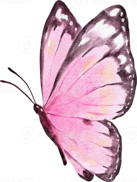 mariposa acuarela ilustración Two Butterflies Drawing, Water Colour Butterfly, Butterfly Painting Easy, Butterfly Reference, Drawing Butterflies, Butterflies Painting, Mariposa Butterfly, Butterfly Art Drawing, Watercolor Butterflies