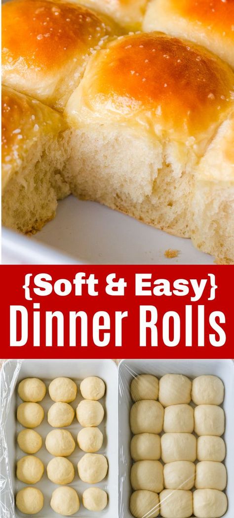 Bread And Rolls Simple, How To Make Sweet Bread Rolls, Quick Sour Cream Dinner Rolls, Quick Yeast Recipes, Rolls For Christmas Dinner, Dinner Rolls Recipe No Milk, Easy Dinner Rolls Recipe Active Dry Yeast, Dinner Rolls With Bread Flour, Easy Homemade Rolls No Yeast