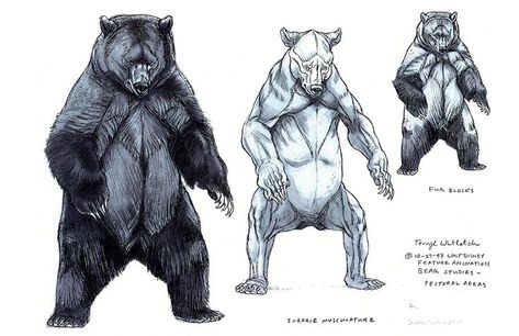 Grizzly Bear Drawing, Terryl Whitlatch, Bear Sculptures, Brother Bear, Bear Drawing, Bear Pictures, Anatomy Drawing, Mythical Creatures Art, Animals Artwork