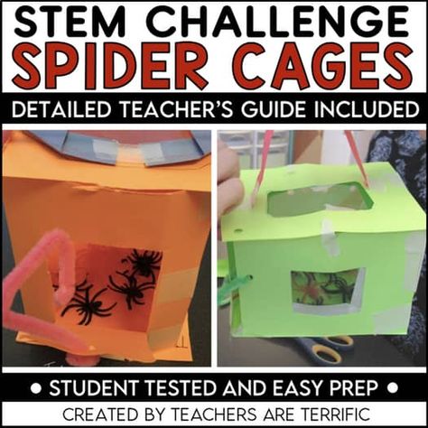 STEM Challenge Spider Cage Easy Prep Problem-Solving One-Day Activity Spider Stem Activities, First Day Activities, Stem Challenge, Stem Challenges, Arachnids, Teacher Guides, Having A Blast, Fall Fun, Spiders