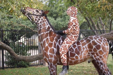 Giraffe Horse Costume, Horse And Rider Halloween Costumes, Halloween Costumes For Horses And Rider, Animal Costume Ideas, Horse Fancy Dress Costume, Equestrian Halloween, Horse Halloween Ideas, Horse Fancy Dress, Horse Halloween Costumes