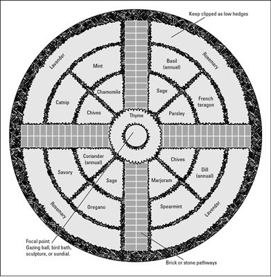 Herb Garden Plan, Gardening For Dummies, Medicinal Herbs Garden, Herb Garden Design, Garden Plan, Potager Garden, Community Garden, Garden Design Plans, Garden Plans