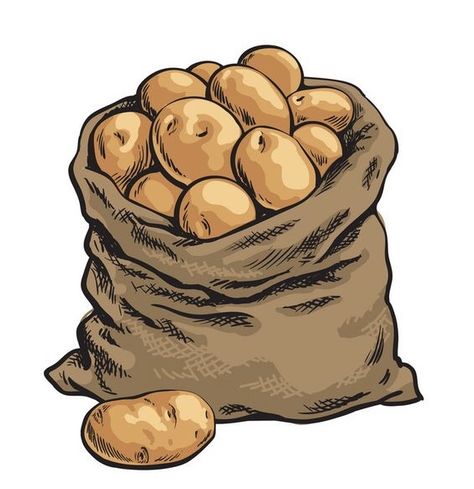 Potato Sketch, Sack Drawing, Sack Illustration, Potato Tattoo, Potato Drawing, Cartoon Potato, Potato Sack, Potato Bag, Burlap Sacks