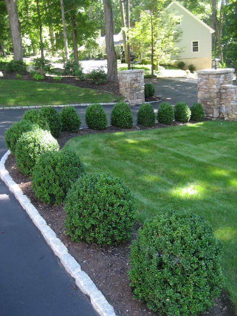 Lining Driveway With Plants, Traditional Front Landscaping, Plant Lined Driveway, Landscape Ideas For Large Property, Expensive Landscaping Ideas, Straight Driveway Landscaping, Shrub Lined Driveway, Classic Landscaping Front Yards, Grey House Landscaping Ideas