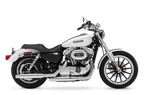 Harley Davidson Sportster 1200 Low XL1200L Buying Guide   Harley Davidson Sportster Harley Davidson Photos, Harley Davidson Roadster, Harley Davidson Helmets, Sportster Motorcycle, Harley Davidson Tattoos, Harley Davidson Sportster 1200, Harley Davidson Panhead, Harley Davidson Iron 883, Harley Davidson Art