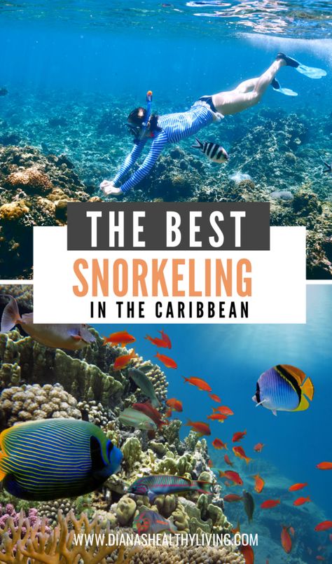 San Andres, Cave Diving, Underwater Sculpture, Bahamas Travel, Whale Sharks, Caribbean Destinations, Best Snorkeling, Underwater Sea, Tropical Travel