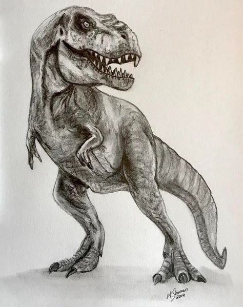 Dino Drawing, Dinosaur Sketch, Arm Tats, Dinosaur Drawing, Drawing Heads, Tyrannosaurus Rex, The Act, Pencil Sketch, T Rex