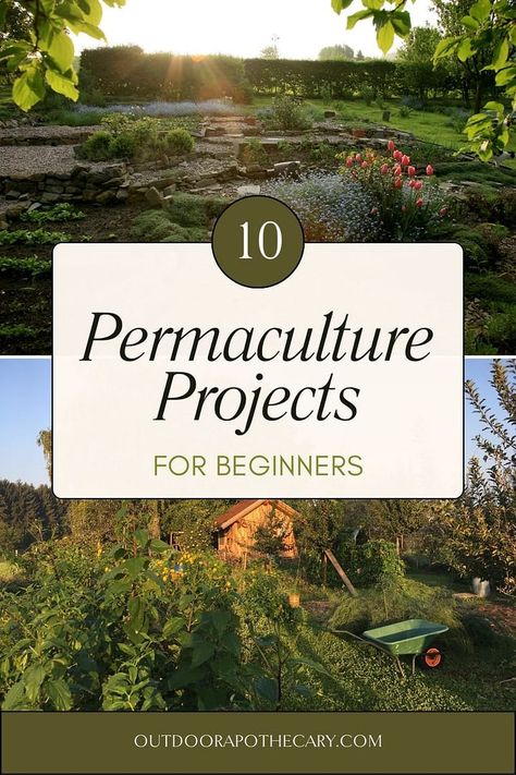 permaculture projects Permaculture Raised Garden Beds, Permaculture Garden Design Ideas, Small Yard Permaculture, Permaculture Garden Design Layout, Permaculture Design Layout, Permaculture Guilds, Permaculture Backyard, Permaculture Garden Design, Permaculture Projects