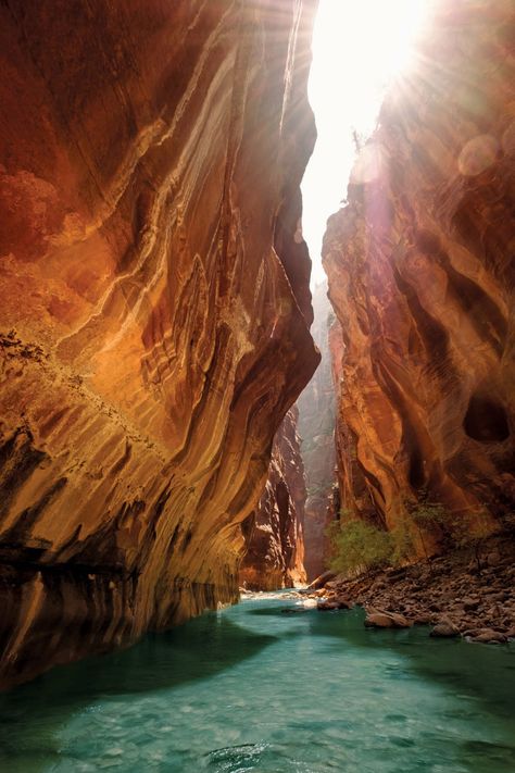 Zion National Park, National Park, National Parks, Sun, Running, Water