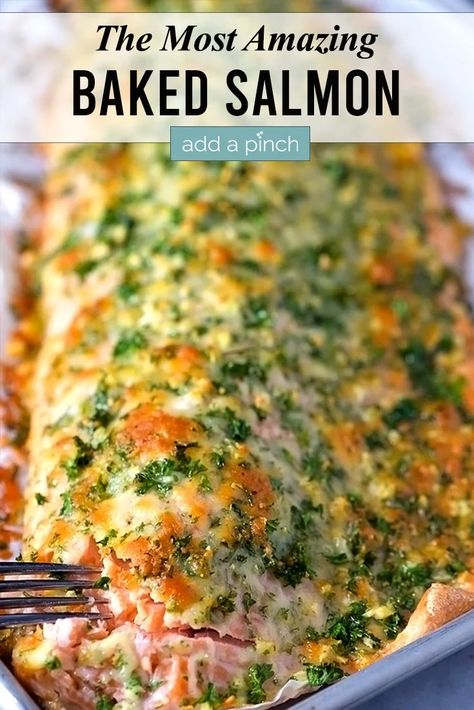 Crusted Salmon Recipes Baked, Salmon Recipe Pan, Baked Salmon And Asparagus, Salmon Recipes Oven, Herb Crusted Salmon, Best Salmon Recipe, Salmon Recipes Pan Seared, Salmon Recipes Baked Healthy, Baked Salmon Recipe