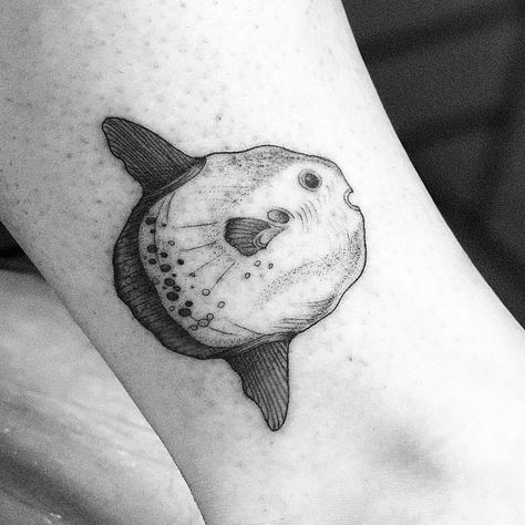 Mola Mola Tattoo, Oarfish Tattoo, Sunfish Tattoo, Marine Animal Tattoo, Ocean Animal Tattoos, Big Sketchbook, Fine Tattoos, Sea Tattoos, Ocean Sleeve Tattoos