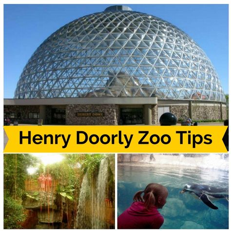 Tips for visiting Omaha's Henry Doorly Zoo - top rated zoo! Visit Nebraska, Travel Nebraska, Omaha Zoo, Big Families, Love Henry, Mindset Coach, Special Place In My Heart, Us Travel Destinations, Family Vacation Destinations