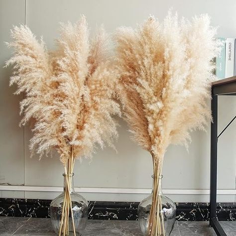 Amazon.com: Bannifll Pampas Plus, 40'' Beige Dried Pampas Grass, 10 Stems, Home Decor, Wedding, Party, Farmhouse, Boho Decor : Home & Kitchen Boho Party Decorations, Grass Wreath, Boho Bathroom Decor, Pampas Grass Decor, Grass Decor, Feather Decor, Boho Bridal Shower, Boho Room Decor, Farmhouse Boho