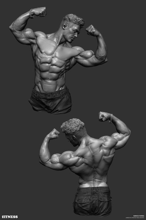 ArtStation - Fitness, Fabricio Torres Zbrush Anatomy, 남성 근육, Human Anatomy Reference, Zbrush Character, Body Study, Man Anatomy, Digital Sculpting, Anatomy Tutorial, Digital Sculpture