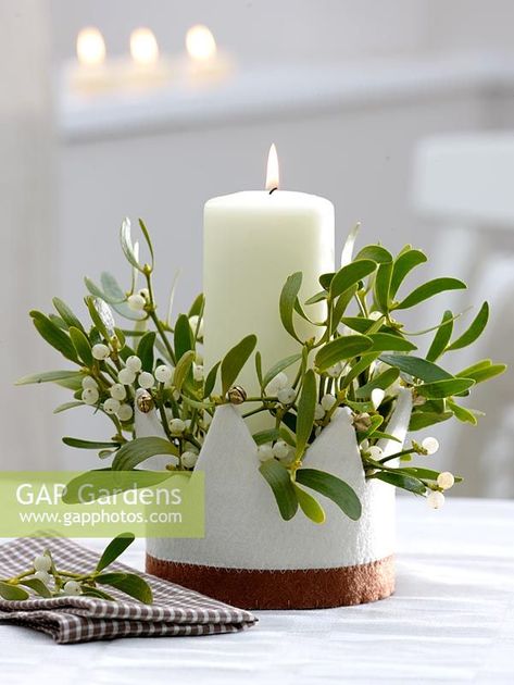 Christmas candle decoration with Viscum album - Mistletoe Mistletoe Decoration Ideas, Mistletoe Images, Advent Ideas, Candle Decoration, Christmas Candle Decorations, Plant Photography, Garden Features, Christmas Advent, Christmas Deco