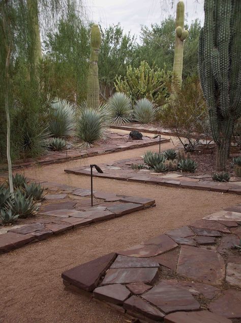 Desert Garden Landscaping, Buchart Gardens, Desert Landscape Design, Desert Backyard, Landscaping Around House, Desert Botanical Garden, Desert Garden, Landscaping Tips, Cactus Garden