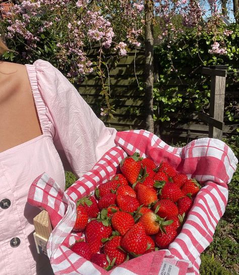 Strawberry Pictures, Strawberry Summer, Strawberry Fields, Spring Aesthetic, Pink Summer, Strawberries And Cream, Strawberry Shortcake, Aesthetic Food, Summer Aesthetic