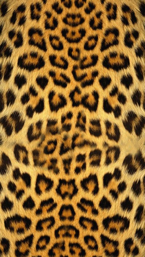 Gold Wallpaper 4k, Wallpaper Cheetah Print, Wallpaper Cheetah, Argo 2, Jaguar Wallpaper, Cheetah Print Background, Cheetah Background, Background Animal, Animal Wallpapers