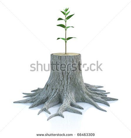 Tree Stump Stock Photos, Images, & Pictures | Shutterstock Tree Seedlings, Effects Animation, Animation Inspiration, Tree Spirit, 3d Concept, Regenerative Medicine, Arte Cyberpunk, Tree Roots, Tree Illustration