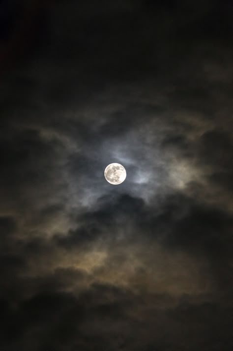 Moonlight Photography, Night Sky Photography, The Moon Is Beautiful, Moon Photos, Look At The Moon, Sky Moon, Moon Pictures, Good Night Moon, Moon Photography