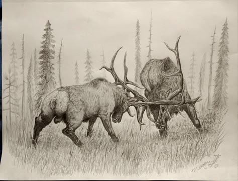 Elk Pencil Drawings, Elk Line Art, Bull Elk Drawing, Bucking Bull Drawing, Elk Sketch, Buck Drawing, Bull Art Drawing, Hunter Drawing, Elk Drawing