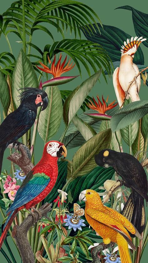 Jungle Iphone Wallpaper, Iphone Wallpaper Jungle, Backgrounds Cute Aesthetic, Iphone Wallpaper Tropical, Cute Aesthetic Background, Tropical Prints Pattern, Parrot Wallpaper, Jungle Birds, Tropical Art Print