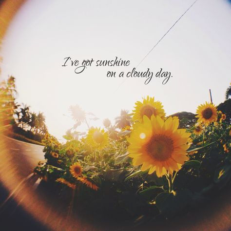 I've got sunshine on a cloudy day. #Sunflower Cloudy Days Quotes, Diy Spa Gifts, Sunshine On A Cloudy Day, Salon Quotes, Beauty Hacks Nails, Beauty Salon Logo, Essay Prompts, English Fun, Healthy Cat Treats