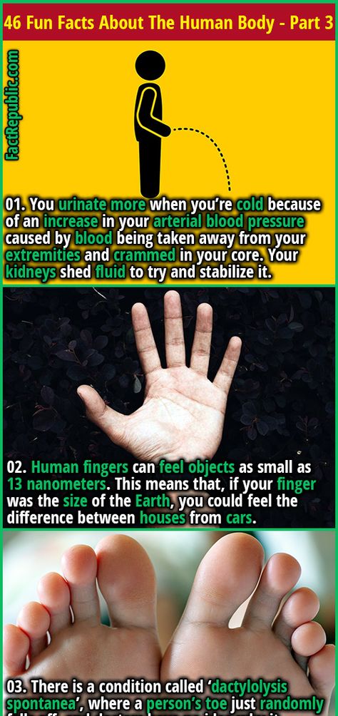 46 Fun Facts About The Human Body That’ll Get Your Brain Going - Part 3 | Fact Republic Human Finger, Facts About Humans, Fact Republic, Doctor Advice, Human Body Parts, Health And Fitness Magazine, Healthy Diet Tips, Natural Cough Remedies, Daily Health Tips