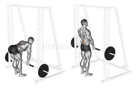 Exercising. Smith Machine dead lifts. Smith Machine dead lifts. Exercising for bodybuilding. Target muscles are marked in red. Initial and final steps royalty free illustration Dead Lift Workout, Deadlift Workout, Straight Leg Deadlift, Deadlift Variations, Dead Lifts, Stiff Leg Deadlift, Rear Delt, Workout Splits, Workout Routine For Men