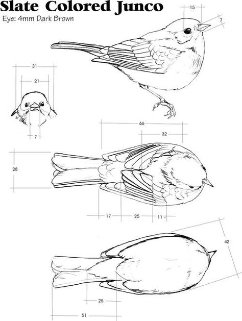 The Indelible Snowbird | wildfowl-carving.com Bird Carving Patterns, Clay Birds, Bird Sketch, Bird Carving, Wood Carving Designs, Carving Patterns, Carving Art, Wood Carving Patterns, Wood Bird