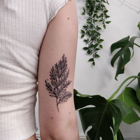 Back Of Arm Nature Tattoo, Fern Bicep Tattoo, Fern Tattoo Back Of Arm, Subtle Arm Tattoos For Women, Fern Tattoo Arm, Arm Tattoo Leaves, Granola Tattoos, Granola Tattoo, Fern Leaf Tattoo