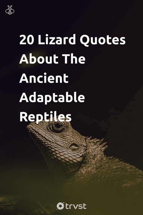 Exploring the subtle narratives of lizards🦎 can shed light on our own existence. Get enlightened with these 20 lizard quotes that resonate with their adaptable nature and primal symbolism. Visit our site now, and see the world from their eyes! #Lizard #AncientReptiles #WildlifeWisdom #PrimalSymbolism #NatureInspiration Reptile Quotes, Goldfish Names, Reptilian Brain, Oscar Fish, Micro Organisms, Survival Instinct, Shed Light, Writing Poems, Nicolas Cage