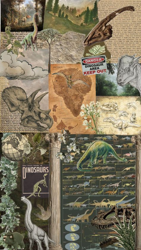 Palentogist Aesthetic, Paleontology Wallpaper, Paleontologist Aesthetic, Paleontology Aesthetic, Dinosaur Aesthetic, Jurassic World Wallpaper, College Wallpaper, Dinosaur Facts, Prehistoric Dinosaurs