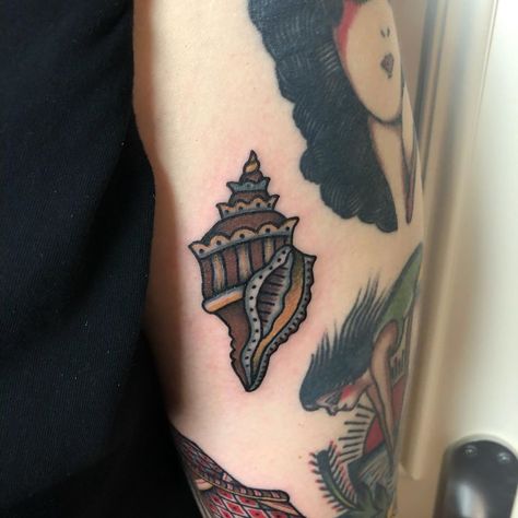 Nautilus Shell Tattoo, Traditional Sea Tattoo, Sea Shell Tattoo, Shell Tattoo, Shell Tattoos, Sailor Jerry Tattoos, Sea Tattoo, Sailor Jerry, Nautilus Shell